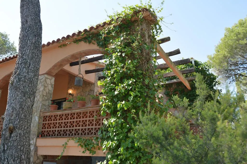 Villa Mas Tomasi Dalt Pals Spanien