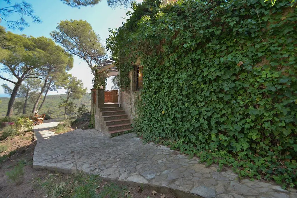 Villa Mas Tomasi Dalt Pals